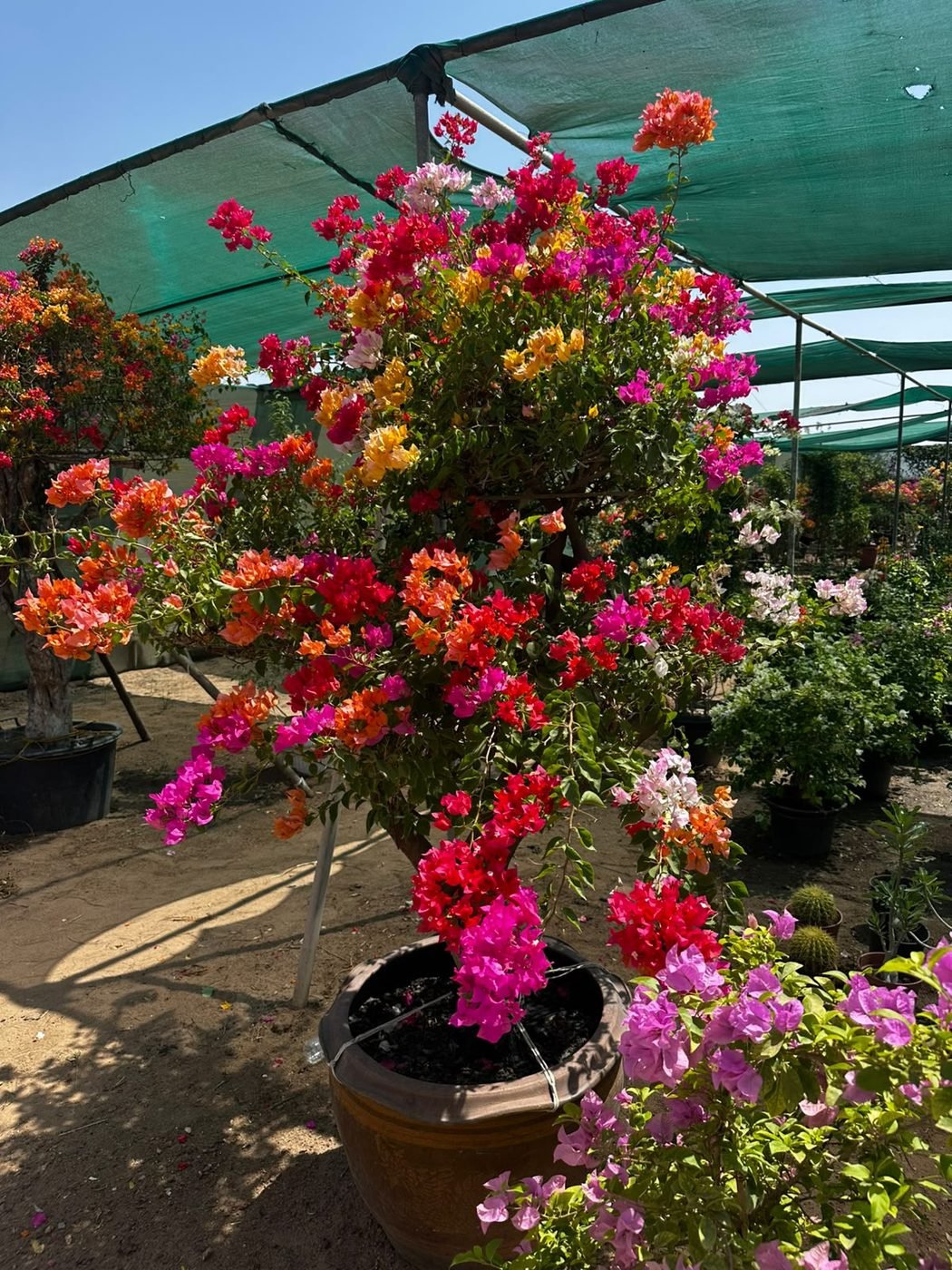 حديقة عامة