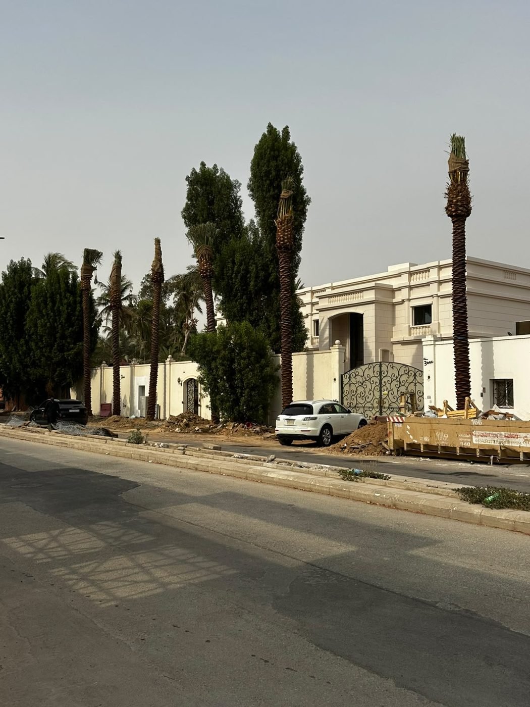 تشجير شوارع