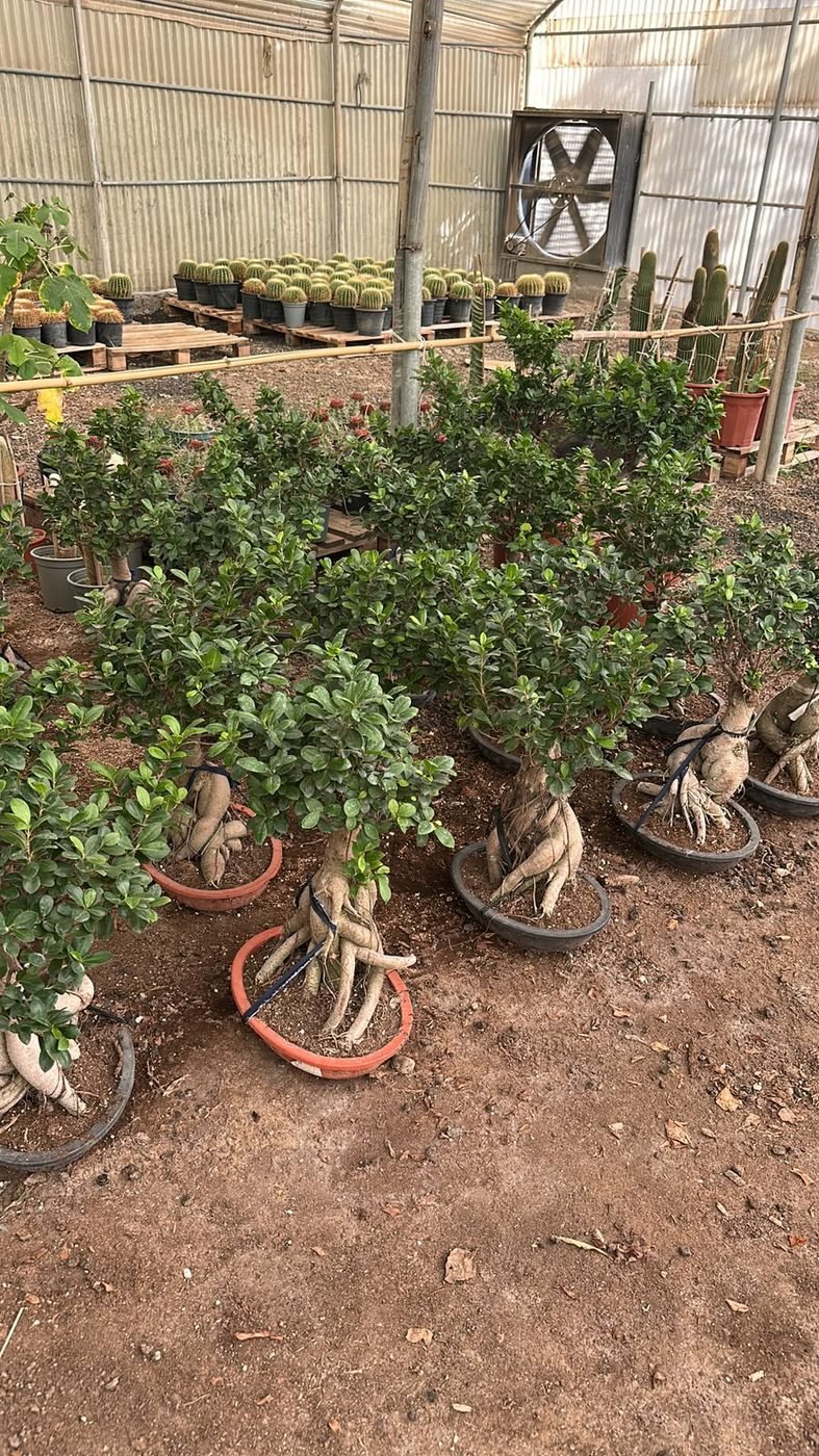 المراكن والأحواض الفيبرجلاس